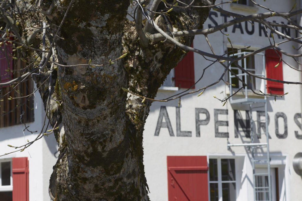 Alpenrose Gadmen - Gasthaus Zewnętrze zdjęcie